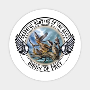 Birds of Prey Magnet